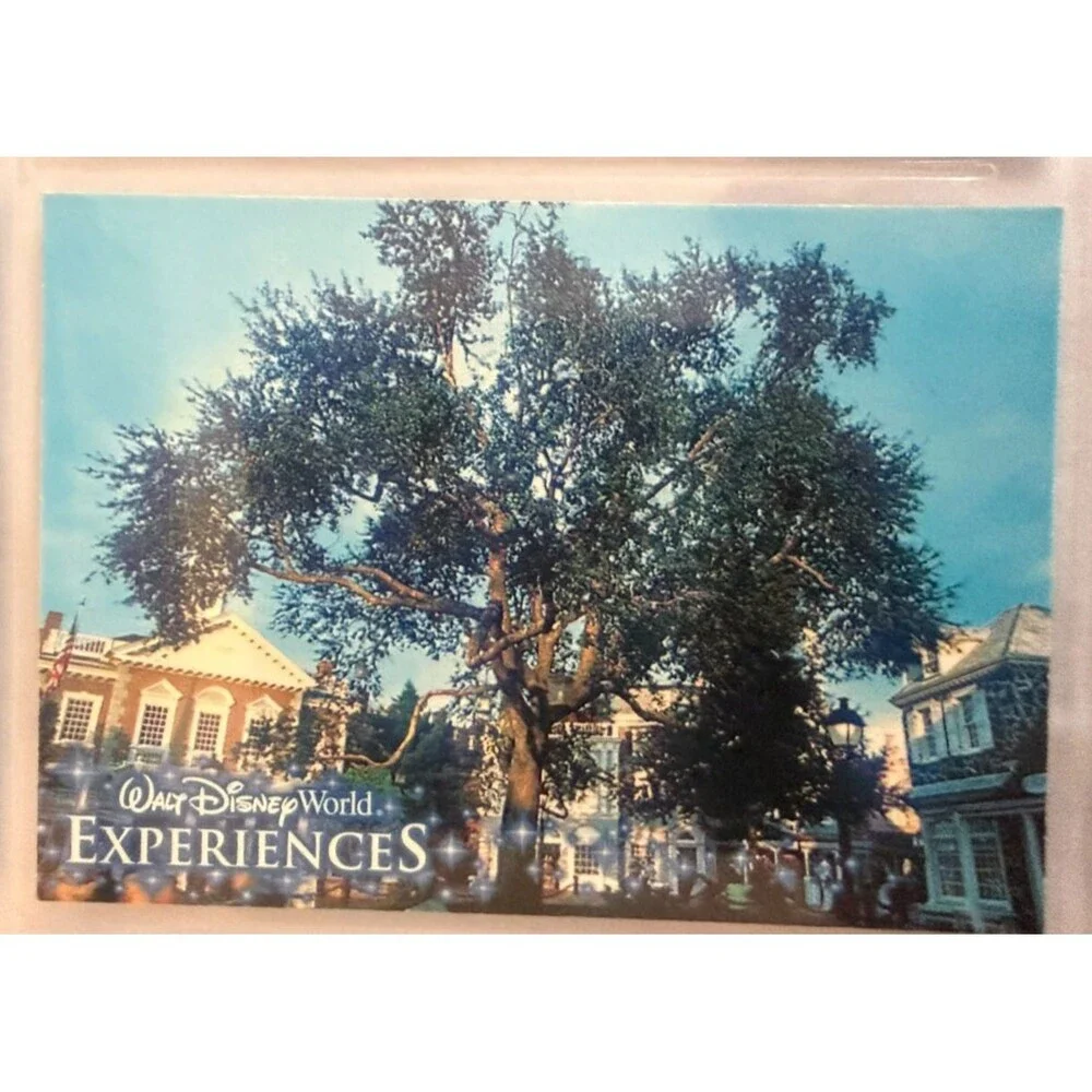 Walt Disney World Experiences Liberty Square 9 Card Set Complete with Sleeve